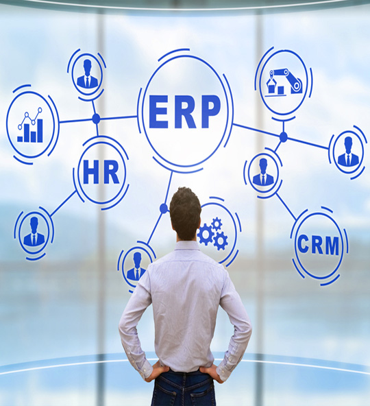 ERP Professional Services Industry