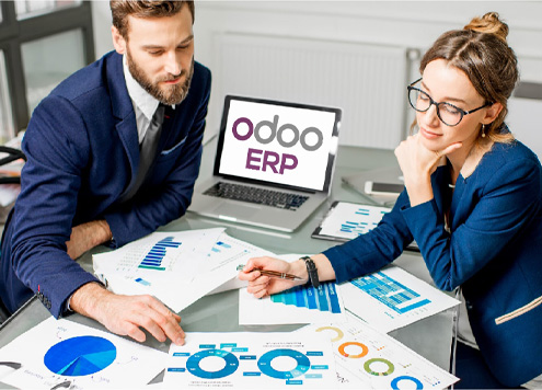 Professional Services Industry Odoo ERP